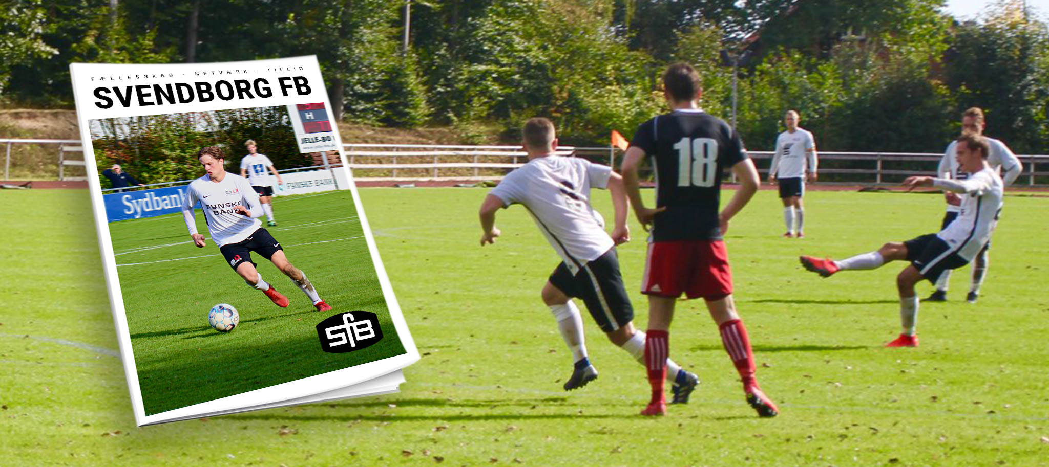 Moderne og professionel brochure