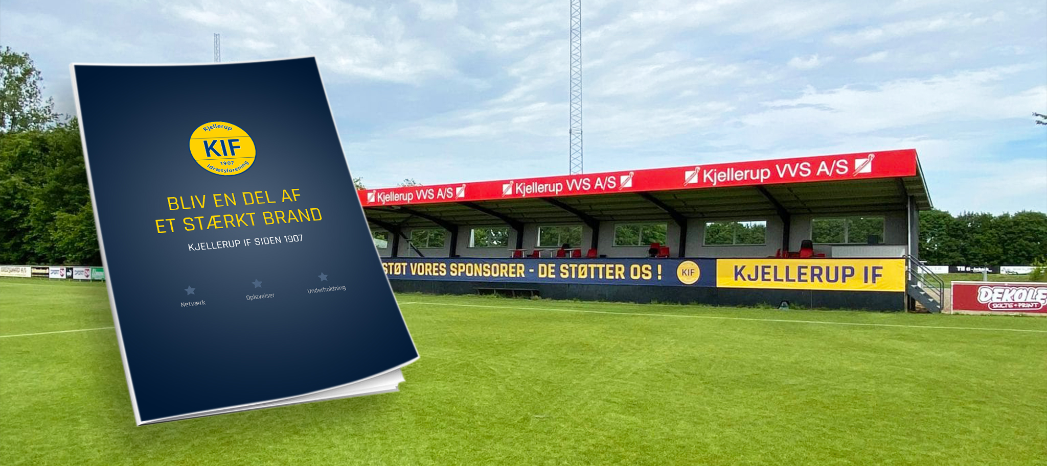 Professionelt udtryk