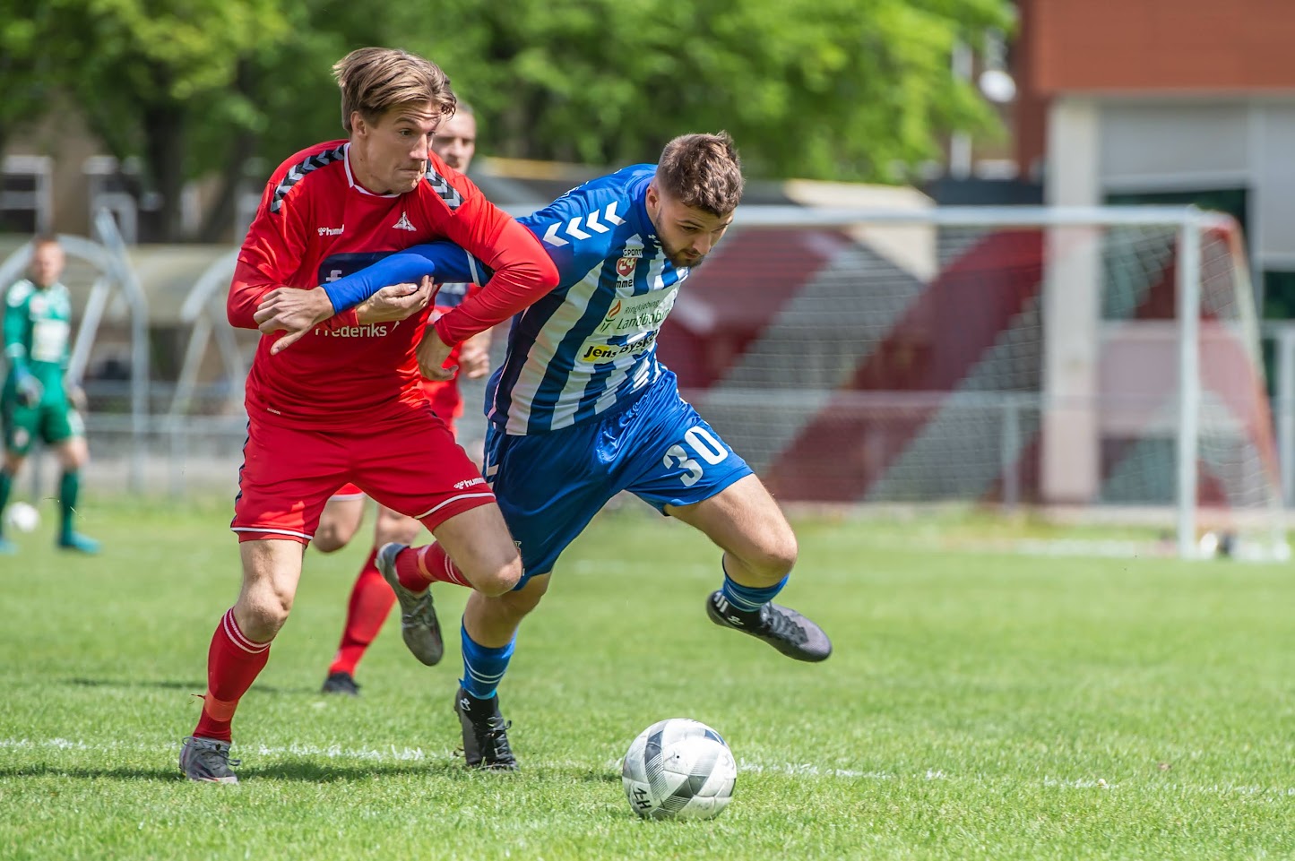 En trofast sparringspartner