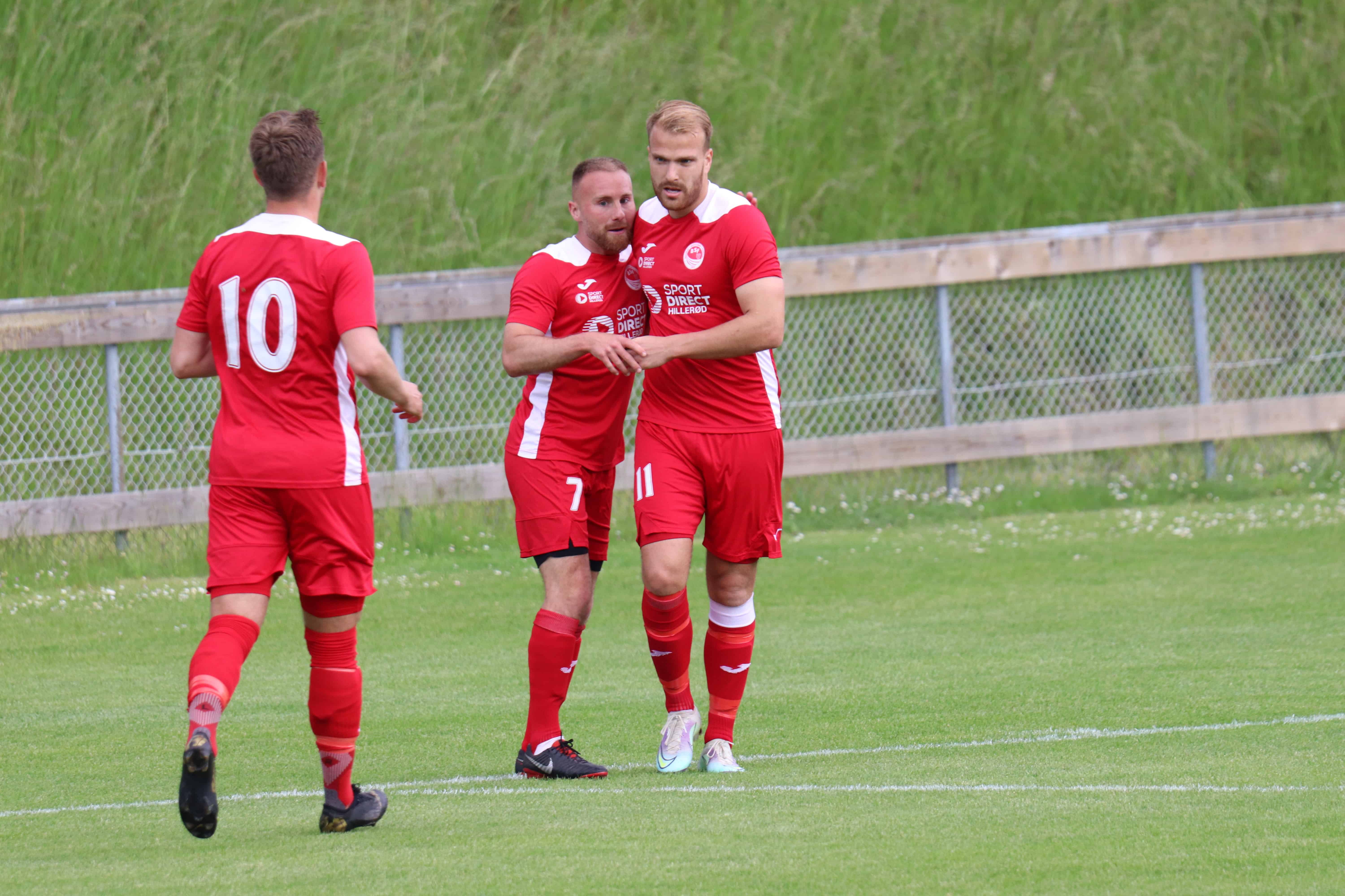 Professionalisme og funktionalitet